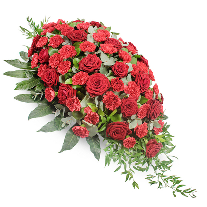 A generously sized, elegant funeral tribute in rich crimson tones is set against a stark white background, making every petal and leaf stand out with clarity. The arrangement follows a classic casket spray or teardrop shape, full and rounded at the upper left before gradually narrowing into a soft, trailing point at the lower right, giving the impression of a gentle cascade. Dominating the composition are deep red roses, some fully open to reveal velvety, tightly layered petals, others slightly more closed, hinting at depth and quiet emotion. These roses are interwoven with clusters of red carnations and spray carnations, their fringed, ruffled petals lending a soft, feathery texture that contrasts beautifully with the smooth curves of the rose blooms. Beneath and around the flowers stretches an abundant base of greenery. Broad, dark green leaves provide structure and density, creating a rich, almost forest-like backdrop, while stems of silvery-green eucalyptus with rounded, slightly powdery leaves introduce a cooler, calming note. Fine strands of lighter green trailing foliage extend gracefully outwards and down the line of the spray, echoing the way branches might gently arch over a pathway in nearby Golders Hill Park or along the quiet residential streets off Finchley Road. The lighting is even and soft, allowing the deep reds and varied greens to appear saturated yet serene, without harsh shadows. Though the image is still, you might imagine the faint, dignified scent of fresh roses and greenery rising when this tribute is placed on a casket or at the front of a memorial service in the Golders Green area, offering a composed, heartfelt expression of sympathy, remembrance, and respect for a cherished life.