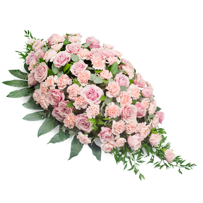 This image shows a refined funeral flower spray, designed in a flowing teardrop shape that begins with a full, rounded head of blooms and then gently narrows into a delicate point, ideal for resting along a casket or at the front of a memorial service in Golders Green. The arrangement is densely packed with soft pink flowers, dominated by classic roses whose petals unfurl in layered whorls of pale blush and muted rose. Some blossoms are wide open, revealing their intricate inner hearts, while others are in mid-bloom, creating a subtle rhythm of size and form. Nestled closely among them, clusters of light peach-pink carnations fill every gap, their finely ruffled petals forming soft cushions that add a sense of comfort and quiet abundance. The balance of colour is tender and understated, with no harsh tones, making the spray particularly suited to moments of reflection and remembrance. Rich green foliage surrounds and threads through the flowers: broad, ovate leaves establish a strong base and subtly cup the blooms, while slimmer sprigs and trailing pieces of greenery extend outward, especially along the lower right edge, enhancing the teardrop's natural, downward sweep. The white background highlights each curve and contour without distraction, so the viewer's eye lingers on the flowers' textures and harmonious composition. This kind of sympathy spray, lovingly assembled by experienced florists serving the Golders Green community, would bring a touch of peaceful beauty to services near the crematorium or quiet family gatherings along Hoop Lane. Its lush fullness, soft fragrance, and elegant lines offer a wordless message of support, carrying memories with grace and honour.