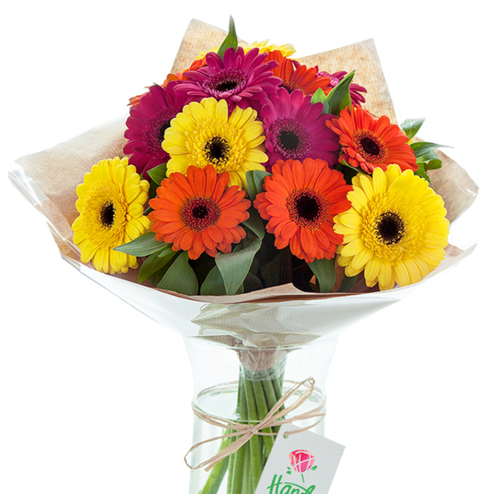 Radiating vibrancy from a bright Golders Green studio, this masterfully arranged Gerbera daisy bouquet brims with energy. About a dozen generous blooms in sunshine yellow, zesty orange, and deep magenta create a playful, cheerful chorus, their inky black and cocoa brown centres forming dynamic contrast to the vivid petals. Tangled among the flowers, glossy green leaves lend fullness and echo the serene expanses of nearby Golders Hill Park. The upper section of the display is swathed in softly textured, tan kraft paper, lending a nod to the organic stalls at the Golders Green Farmers' Market. A glossy envelope of cellophane forms a protective cone, gently cupping the blossoms while allowing light to accentuate their lively hues. Stems, bundled and neatly arranged, are visible through the hourglass-shaped glass vase, immersed in clear water that signals the freshness safeguarded for each recipient. A length of raffia twine encircles the vase's neck, tied in a relaxed bow and hosting a small white tag-embellished simply with a red rose and a line of handwritten script, suggesting the bouquet's story of careful curation. This arrangement embodies both celebration and gratitude, its uplifting palette and inviting textures ideal for occasions ranging from milestone birthdays to heartfelt thank-yous. Capturing the tradition of neighbourhood floristry at Flowers Golders Green, this floral display brings a dash of radiant charm and artisan quality to homes and gatherings throughout the local community.