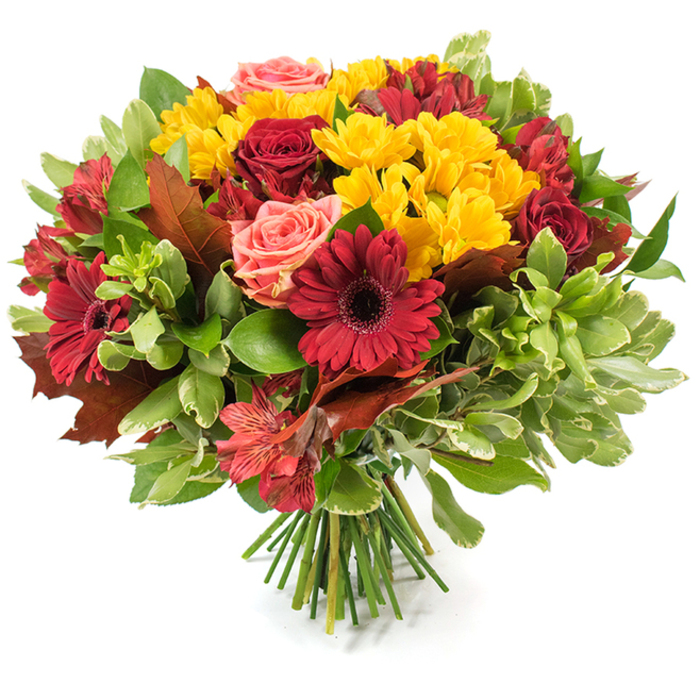 A dense, rounded hand-tied bouquet set against a plain white backdrop, composed to celebrate autumn's rich, comforting palette. Bold, dark-red gerbera daisies with their pronounced blackish centers and plush, velvety burgundy roses form the visual anchors, some roses opened to reveal layered petals, others kept as tight, promising buds. Throughout the mass of blooms, clusters of small, vibrant yellow chrysanthemum-like flowers create a lively, textured punctuation that brightens the arrangement and offers a light, almost citrusy visual note. Softer coral-pink and peach roses introduce a gentle blush that softens the intensity, while red-and-orange alstroemeria provide intricately patterned petals and a slender, star-like contrast to the rounder blooms. The flora is supported by an assortment of foliage - deep green glossy leaves for richness, lighter green or subtly variegated sprigs for airiness - and notably by several large, brownish-reddish autumn leaves that echo the season and lend a rustic, natural silhouette. The stems are neatly bound and left visible at the bottom, a tidy green bundle that confirms the piece as a professionally tied bouquet ready to be presented or placed into a vase. Bathed in diffused natural light, the petals seem to glow and the textures invite touch; this arrangement suits Thanksgiving tables, harvest celebrations, or simply bringing the warmth of fall indoors for a home in Golders Green or a nearby flat off Hoop Lane or Finchley Road.