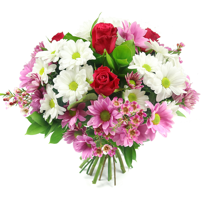 A beautifully rounded, hand-tied bouquet is captured in sharp detail against a clean white background, allowing every petal and leaf to stand out as if it had just been arranged in a Golders Green flower studio. The focal point is a pair of luxuriant deep red roses, their tightly furled petals forming perfect spirals that speak of love, admiration, and a touch of drama. Surrounding them is a generous profusion of white, daisy-like chrysanthemums, their petals crisp and slightly curved, framing luminous lime-green centres that bring a modern, energetic twist to the traditional daisy look. Interspersed among these are light to mid-pink daisy chrysanthemums, echoing the same green centres but softening the palette with gentle, romantic hues that feel ideal for celebrations or tender messages. Nestled more delicately between the larger blooms are clusters of small, pale pink waxflowers, each tiny blossom star-shaped with a darker central eye, adding a filigree of fine texture and depth, much like the intricate greenery you might find in the quieter corners of nearby Golders Hill Park. The flowers are supported and framed by lush greenery: broad, slightly waxy leaves in deep, rich green, contrasted with lighter green foliage that peeks through the blossoms and gives the design a natural, garden-fresh character. The stems are clearly visible at the base, neatly aligned, trimmed, and bound into a compact, hand-tied bundle, ready to slip into a favourite vase in a home off Finchley Road or near Temple Fortune. The colour story-crimson red, snowy white, soft pink, and vivid green-creates a mood of joyful affection and optimistic calm, making the bouquet a versatile choice for birthdays, anniversaries, Mother's Day, or simply to brighten someone's day in and around Golders Green.