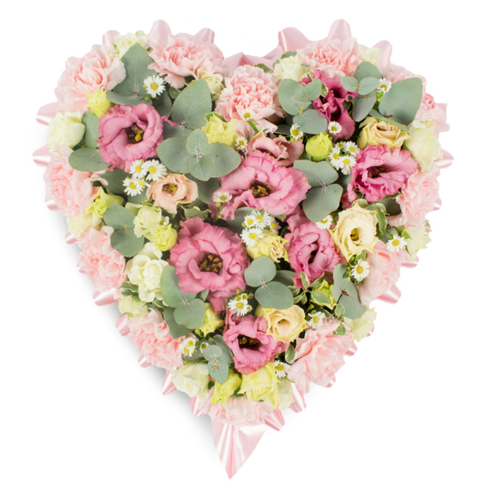 A generous, heart-shaped floral arrangement is displayed on a pristine white surface, its soft colours and thoughtful detailing making it an especially moving sympathy tribute. The heart is clearly defined by an outer band of tightly grouped pale pink carnations, whose slightly ruffled petals and rounded forms create a velvety, cushioned border. Nestled just inside and occasionally peeking through this floral frame is a delicate pink satin ribbon, looping gracefully around the contours of the heart and tying into tidy bows at both the upper notch and pointed base, like a final, loving touch to a carefully wrapped gift. Within this boundary, the heart is filled edge to edge with blossoms and foliage, creating a lush, full impression with no gaps. The central focus comes from larger pink eustoma (lisianthus) flowers, ranging from soft rose to a richer, purplish-pink, their layered petals opening generously in gentle spirals. These focal blooms are interwoven with clusters of creamy ivory and soft yellow spray roses or similar small buds, which add warmth and a comforting glow, reminiscent of candlelight during a memorial service. Tiny white daisylike flowers with bright yellow centres, similar to chamomile or feverfew, sparkle among the larger blooms, lending a fresh, garden-inspired charm. Throughout the arrangement, rounded eucalyptus leaves in muted, silvery green weave in and out, accompanied by deeper green foliage that adds dimension and anchors the pastel palette. The result is a tender balance of colour and texture that feels both elegant and sincere. Perfect for a funeral, chapel service, or cremation farewell in Golders Green, this heart-shaped tribute gently conveys love, remembrance, and support to families navigating loss, offering a visual embrace when words may be hard to find.