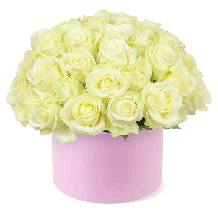 A lavish hat box overflowing with creamy white and soft ivory roses takes centre stage, its rounded silhouette resembling a perfectly sculpted floral cloud. Dozens of roses are arranged tightly together so that their velvety heads touch, forming a smooth, domed surface that spills just over the rim of a pastel pink cylindrical box. Each bloom appears fresh and newly opened, with outer petals in cool white tones that gradually deepen towards the middle into shades of warm cream and the faintest pastel yellow, creating a gentle ombré effect that feels both refined and comforting. Just a breath of green foliage is visible at the base of the blooms, enough to underline their natural origin without detracting from the predominantly light, airy palette. The hat box itself is a soft, chalky pink with a matte, tactile finish, suggesting premium florist packaging that you might expect from a specialist studio serving Golders Green and the tree-lined streets leading towards Hampstead and Brent Cross. Its understated design allows the roses to command attention while still adding a touch of fashionable charm. Set against a clean white background, the arrangement is bathed in even, neutral light that highlights every petal fold and subtle colour variation. The overall impression is one of polished romance and quiet luxury, the kind of floral gift chosen for meaningful occasions-a milestone anniversary in a home near Golders Hill Park, a special birthday tea, or a romantic surprise delivered to an apartment close to the station. The image communicates elegance and sincerity, showing how a simple palette of white roses and pink packaging can feel deeply personal and celebratory.