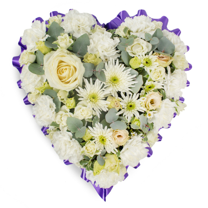 A prominently displayed, heart-shaped floral cushion sits against a pure white background, its careful craftsmanship lending it a sense of serene formality well suited to a funeral or remembrance service in Golders Green. At the very core of the heart, a beautifully formed creamy white rose stands as the main focal point, its tightly layered petals unfolding in a soft spiral that suggests tenderness and devotion. Surrounding this central bloom, clusters of white carnations fill much of the surface, their characteristic ruffled edges overlapping like soft fabric, creating a plush, embracing texture. Threaded among the carnations are snowy spider chrysanthemums, their fine, slender petals fanning out in all directions, lending a feathery movement and subtle energy to the otherwise calm composition. Small cream and ivory rosebuds, some kissed with the faintest blush of buttery yellow or peach, peek out here and there, echoing moments of cherished memory amid sadness. There are hints of tiny pale-green buds and delicate filler flowers that bring gentle points of brightness, like distant lights along Golders Green Road in the evening. Sprays of rounded blue-green eucalyptus leaves are tucked thoughtfully between the blooms, adding depth, structure, and a cool, aromatic greenery that visually softens the white expanse. Encircling the entire design is a vivid, deep purple ribbon border, pleated and ruffled to form a distinctive frame that clearly defines the heart's outline and introduces a solemn note of colour. The overall effect is one of quiet dignity and unwavering affection, as though a skilled local florist had created it specifically to rest beside a photograph or candle at a memorial gathering in one of Golders Green's family homes.