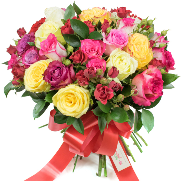 A lavish, multi-tonal rose bouquet is captured against pure white, its dense, domed structure the result of thoughtful, professional arranging. The composition blends fully opened hybrid tea roses with smaller spray roses and tender buds: bright yellow roses add sunny punctuation, creamy ivory blooms soften the palette, and a beautiful progression of pinks-from palest blush to electric fuchsia and charming bi-coloured pink-and-white edges-creates movement across the surface. Deeper burgundy and red clusters sit low and central, anchoring the piece and offering a romantic, velvety counterpoint to the lighter tones. Interspersed dark green, glossy foliage-likely salal or ruscus-lends a cool, sculptural backdrop, the leaves' sheen highlighting the roses' delicate textures. The stems are expertly gathered and wrapped at the base with a wide, gleaming red satin ribbon tied into a prominent bow, its long tails flowing with a subtle sense of motion; a small white gift tag with the words Happy Holidays is tucked into the knot for a personal touch. Under soft studio light, the petals reveal their satiny and velvety surfaces and the whole bouquet gives off a gentle, fresh rose fragrance. This arrangement reads as celebratory and heartfelt, the sort of bouquet locals might send to mark a birthday or anniversary in Golders Green, to be set on a table after an afternoon at Golders Hill Park, or to brighten a home near Golders Green Road.