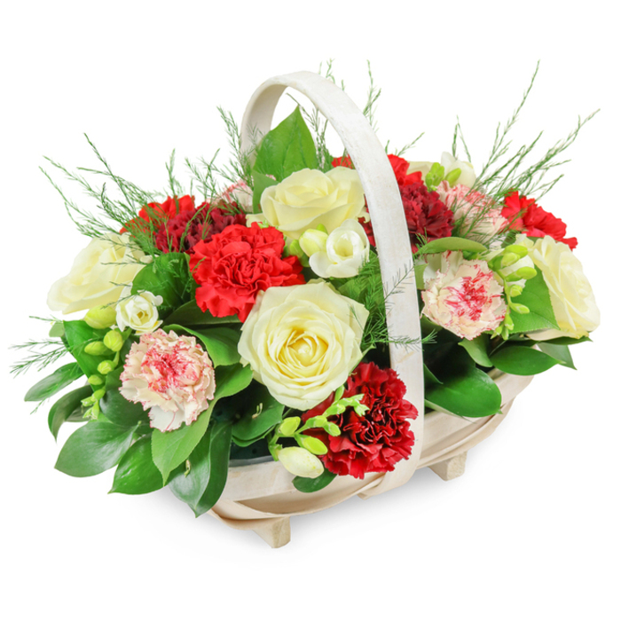 A refined sympathy flower basket is captured in full detail, set against a crisp white background that emphasizes its gentle, dignified colours. The arrangement sits in an oblong, light-toned wooden basket with a smooth, arched handle, the pale slats arranged neatly and lifted slightly by four discreet feet. This understated base feels at home in a quiet Golders Green living room or at the side of a funeral lectern, offering a soft presence rather than drawing attention to itself. Rising from the basket is a rounded, bountiful mound of blooms, dominated by creamy white roses that are fully open, their petals unfurling in concentric layers. These roses speak of purity, remembrance, and respect, making them a natural focal point for a farewell tribute. Around and between them, deep red carnations create a velvety contrast; their ruffled petals add volume and movement, suggesting warmth and enduring love. Interspersed among these are paler pink and delicately bi-coloured carnations, with petals that fade from white to gentle pink and red along the edges, softening the overall palette and bringing a sense of tenderness. Small white blooms, likely freesias, extend on slender green stems, their bell-shaped flowers and tight buds introducing subtle detail and a whisper of fragrance. A lush bed of dark, glossy leaves-possibly ruscus or salal-forms the foundation, while airy, feather-light fronds of fern emerge at different heights, giving the composition a slightly wild, natural feeling. The flowers are packed closely together so the arrangement feels full but not crowded, as though every stem has a purpose. This floral basket would be a fitting way to express condolences or pay tribute at services in and around Golders Green, where families gather to honour a life with quiet beauty.