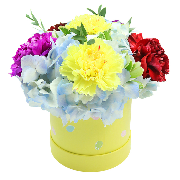 A lush, compact dome of blooms sits in a pastel yellow round box, photographed slightly from above so the layered textures read clearly-something I might design for a new parent leaving the nearby maternity unit or a birthday on Golders Green's leafy streets. The centerpiece comprises two generous lemon-yellow carnations with heavily ruffled petals that catch the light and suggest a soft, almost citrus-sweet scent. Surrounding them are generous clusters of periwinkle hydrangea, their many small florets creating a dreamy, cloud-like mass in shades of pale blue and whitest highlights. On the left a saturated magenta carnation provides a striking, joyful accent, while on the right a burgundy-leaning crimson carnation supplies velvety depth and visual punctuation. Fresh green filler stems weave through the arrangement, their slender leaves offering contrast and a taut, natural texture. The base is a smooth, cylindrical paper hatbox in a gentle lemon tone, playfully dotted with pastel blue, soft pink and pale green shapes-some speckled with white-that suggest spring fairs and the seasonal stalls outside Golders Green tube. Light is soft and diffused, creating warm reflections on the box and nuanced shadows between petals, emphasizing the bouquet's fullness and freshness. This composition reads as both celebratory and comforting: ideal for welcoming a newborn, congratulating a milestone, or brightening a recovery room. Crafted with care by local hands, the arrangement is ready for delicate, same-day delivery around Golders Green and nearby Hampstead, reflecting the attention to detail Flowers Golders Green brings to every gift.