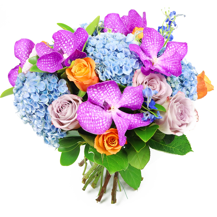 Set against a pure white backdrop, this luxurious hand-tied bouquet showcases the artistry of a local Golders Green florist, every bloom positioned to create a sense of gentle movement and depth. The stars of the arrangement are several striking Vanda orchids, their large petals saturated in magenta and deep purple-pink tones, each petal criss-crossed with tiny white speckles that form a distinctive, net-like pattern. These orchids sit slightly above the rest of the flowers, lending the bouquet a glamorous, almost couture quality, reminiscent of a statement piece brought to an elegant gathering off Hoop Lane. Supporting this drama are expansive clusters of soft, sky-blue hydrangeas that create a rounded, cloud-like base. Composed of innumerable tiny florets, each hydrangea head adds fullness and a plush texture, while the cool blue shades introduce calm and balance to the composition. Threaded between the hydrangeas and orchids are roses in two distinct yet harmonious colour families. Some roses glow in vibrant orange, with tightly spiralled centres and gently loosening outer petals, exuding warmth and optimism. Others are in refined shades of dusty lavender and mauve, their velvety petals suggesting romance and quiet sophistication that pair beautifully with the blue hydrangeas and violet orchids. Delicate spires of deeper, inky blue accent flowers, reminiscent of delphiniums, emerge here and there, adding vertical interest and a hint of wildness, as though freshly gathered from a garden walk near Childs Hill. Lush, glossy green leaves curve around the outer edges and peek between the blooms, their sheen emphasizing the freshness of the flowers. The stems are left visible at the base, neatly trimmed and bound together to form a compact, domed hand-tied shape. The bouquet as a whole feels celebratory yet composed, perfect as a refined centrepiece for a dinner table or as an opulent gift delivered to homes and offices across Golders Green.