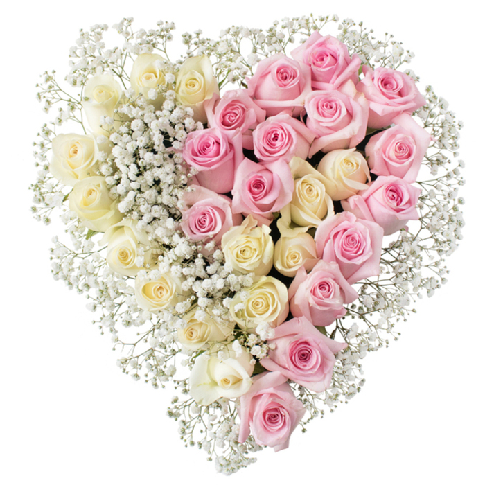 In this photograph, a full, richly textured heart-shaped wreath fills the frame, set against a pure white background that isolates the design and emphasises its symbolic shape. The heart is divided with geometric clarity yet emotional softness into two mirrored halves, each made entirely of roses in different shades. The left side brims with creamy white to light butter-yellow roses, each flower tightly nestled against its neighbour so that almost no gaps are visible. Their petals appear satin-smooth and gently rolled, creating a sense of serenity and purity that suits a farewell or remembrance. Opposite them, on the right side, a lush cluster of medium pink roses continues the heart form; their colour is soft but distinct, a warm pink that conveys affection, gratitude, and the memory of happier days shared. Across the centre where the two colours meet, and all around the outer contour of the heart, tiny blossoms of white baby's breath are carefully threaded, filling in any small spaces and creating a misty, cloud-like border. This gypsophila adds airiness and texture, like a fine veil, softening the transition between cream and pink and giving the entire tribute a tender, romantic aura. The overall mood of the design is gentle and contemplative, ideal for funerals, cremation services, or memorial gatherings in and around Golders Green, whether at the crematorium or a small family service off North End Road. Although the background is minimal, the precise placement of every rose and sprig of baby's breath reveals the steady hand and experienced eye of a professional florist accustomed to crafting expressive sympathy arrangements.
