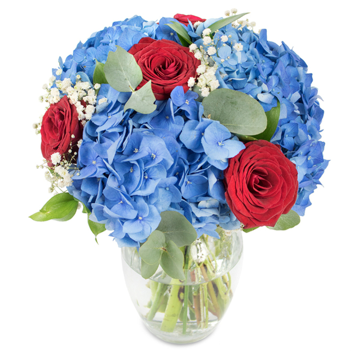 An elegantly composed floral bouquet rests in a simple, clear glass vase, the scene arranged with the calm precision of a neighborhood florist's best work. Large, rounded clusters of vivid sky-blue hydrangea dominate the visual field, each cluster composed of countless small petals that together form a soft, voluminous texture reminiscent of a summer sky. Threaded through that ocean of blue are several deeply crimson roses, their velvety petals tightly wound into classic spirals that suggest deep affection and timeless elegance. Whisper-light stems of white baby's breath are interspersed throughout, resembling tiny clouds and introducing a lyrical, airy presence that offsets the bold colour play. Soft eucalyptus leaves, with their rounded shapes and muted green tone, provide depth and a subtle herbal aroma, while additional green foliage gives weight and natural movement. The clear glass vase - gently rounded at the base and slightly tapered toward the rim - exposes the green stems submerged in water, a visual assurance of freshness and exacting care. The bouquet is lit cleanly against a white background, allowing the saturated blues and reds to read clearly and vibrantly. As a local florist in Golders Green, Flowers Golders Green often places such arrangements in homes near Golders Hill Park or on bedside tables in Hampstead Garden Suburb; the piece works as a centerpiece for celebrations, a romantic gesture, or a tasteful patriotic display, offering a composed, joyful presence with every glance.