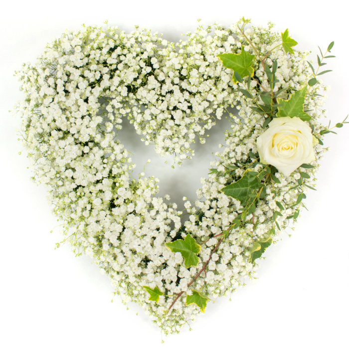 A meticulously formed heart of pure white Gypsophila dominates the composition, each tiny bloom packed closely to create a cloudlike, voluminous surface that reads as both delicate and resolute. The craftsmanship is evident where texture changes-the pillowy expanse of baby's breath gives way to a single, cream-white rose tucked into the upper right curve, its petals compact and immaculately layered, offering a quiet centre that draws the eye. Intertwined with the rose are glossy ivy leaves whose deep green and lobed silhouettes provide a traditional counterpoint, and pale green, narrow-leafed sprigs resembling eucalyptus trail diagonally down the right flank, adding subtle contrast and a breath of herbal fragrance. The bright, even lighting accentuates the arrangement's clean palette and fine detail: the subtle cream of the rose, the pristine whiteness of the gypsophila, and the fresh sheen of foliage. This design is intended for moments of remembrance-funeral services, memorial displays, or a home vigil-conveying purity, respect, and gentle consolation. As Flowers Golders Green, we often create this style for families visiting Golders Green Crematorium or holding quiet commemorations near Golders Hill Park and the surrounding residential streets; its restrained palette and classic symbolism speak of sincere tribute without ostentation. Carefully wired and securely finished, the heart sits ready to be placed beside a casket, on an easel, or as a table memorial, offering a serene visual embrace in seasons of farewell.