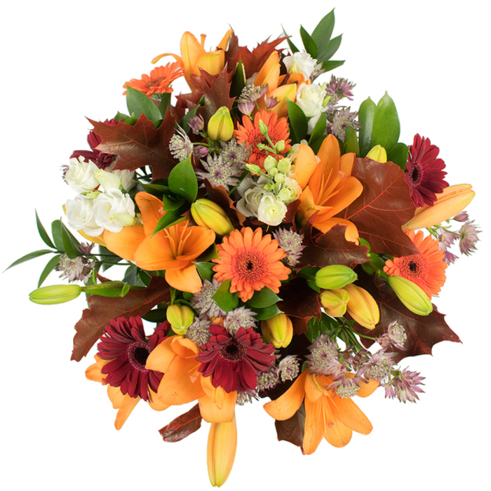 Viewed from slightly above, this densely arranged fall bouquet reads like a woven tapestry of seasonal colour and texture, perfectly suited to cozy Golders Green interiors. Dominating the scene are fully opened orange lilies, their large trumpet forms creating graceful arcs, while a chorus of closed buds-pale orange tipped with green-promises new life over the coming days. Bright, zesty orange Gerbera daisies punctuate the design, set against deeper burgundy-red gerberas whose velvety tones add depth and rustic charm. The inclusion of soft ivory Lisianthus (or similar mini roses) introduces a gentle, ruffled softness that soothes the bolder hues, and small, spidery Astrantia clusters in lavender-mauve contribute an airy, architectural lace across the bouquet. Rich, lobed leaves in chestnut and reddish-brown echo the look of fallen oak, placed to mimic drifting leaves after a stroll through the neighbourhood, while fresh green foliage and narrow stems build the internal structure and keep the cluster feeling lively and natural. The arrangement is tightly composed and freshly cut, photographed on a stark white background which makes the autumn palette sing-each tone clear, saturated, and tactile. Emotionally, the bouquet suggests warmth, gratitude, and the quiet abundance of harvest time; it reads beautifully as a Thanksgiving centrepiece, an autumn anniversary gift, or simply as a way to bring the crisp wonder of seasonal change indoors. The overall craftsmanship shows an experienced hand, balancing colour, scent, and form so the bouquet feels both celebratory and intimately familiar to anyone who knows Golders Green and its leafy corners.