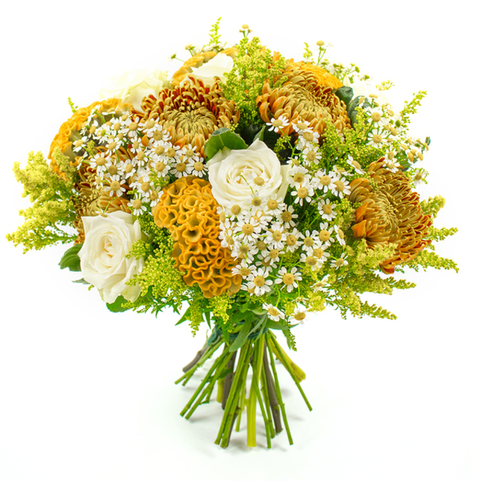 A hand-tied bouquet overflowing with autumnal character is presented vertically against a pure white background, the simplicity of the setting drawing full attention to the intricate mix of flowers. The stems are gathered carefully at the base, secured with green florist's tape, and flaring upwards into a full, rounded crown of blooms. At first glance, the eye is drawn to several sizeable chrysanthemums, their petals layered densely in spiky, cascading whorls of colour ranging from deep coppery orange and rich golden yellow to softer honey tones. These blooms give the arrangement a sense of generous abundance, reminiscent of harvest displays at local Golders Green markets. Interwoven among them are creamy white roses, some still partially closed, their petals forming smooth, sculpted spirals that contrast with the more rugged texture of the chrysanthemums. Adding an unexpected twist are vivid yellow-orange celosia flowers. Their velvety, labyrinthine ruffles look almost like coral or folded velvet ribbon, creating a curious, tactile focal point that stands out even more under the steady, even lighting. Sprinkled throughout the bouquet, delicate white matricaria-tiny daisy-like flowers with bright yellow centres-soften the overall effect, giving the impression that a handful of meadow blossoms has been tucked between the grander blooms. All of this is encircled and threaded through by fresh greenery and slender plumes of lime-green solidago, whose fine, feathery stems create a soft halo around the bouquet. The varied greens add depth and a cool counterpoint to the warm palette, making the oranges and golds appear even more radiant. The arrangement feels elegant yet approachable, perfect for a thoughtful seasonal gift, a cosy dinner table in a Golders Green home, or a welcoming gesture for a neighbour or friend.