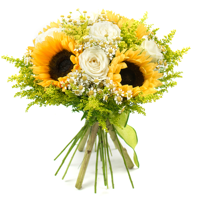 A generous, sunlit bouquet of yellow and white blooms is shown against a spotless white background, every detail standing out clearly, as if viewed under the bright, natural light that pours into many Golders Green terraces. Dominating the composition are several large, open sunflowers, their broad golden-yellow petals radiating outward like small suns, each centred with a deep, textured brown disk of seeds that adds an earthy, rustic focal point. Between these striking blooms rest smooth, creamy white roses, some tightly furled in classic bud form, others beginning to relax into layered spirals; their ivory-tinged petals bring a subtle luxury, softening the bold character of the sunflowers. Scattered delicately among them are petite white daisy-like flowers-resembling chamomile or feverfew-with bright yellow centres, adding intricate detail and the light-hearted feel of wildflowers picked on a quiet lane towards Hampstead. Fine sprays of feathery, lime-green foliage and filler, similar in character to solidago, create a luminous halo around the blooms, enriching the design with layers of fresh green and lending the bouquet a rounded, full-bodied silhouette. The stems beneath are neatly ordered and bound tightly in a hand-tied style, secured with a lime-green satin ribbon that wraps the base and falls in a soft tail, echoing the airy greenery. The arrangement radiates cheerfulness, thoughtfulness, and a touch of country charm-ideal as a birthday surprise, a housewarming gesture for a new flat near Golders Green station, or a sunny centrepiece for a family gathering, lovingly crafted with the attention to detail you would expect from a skilled local florist in NW11.