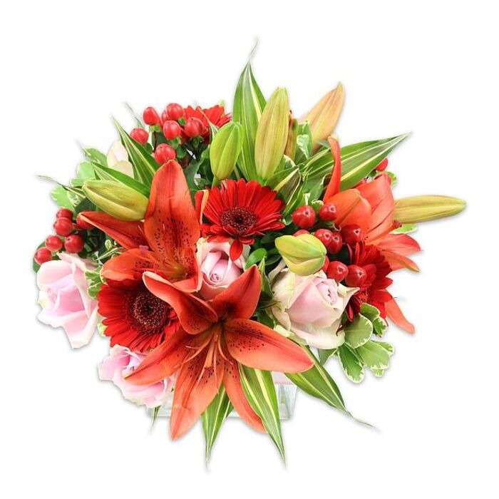 Framed by a bright white studio background, this dense, rounded bouquet celebrates bold colour and considered texture: large, orange-red Asiatic lilies take centre stage with their recurved, speckled petals and dark anthers offering sculptural contrast, while unopened lily buds hint at evolving beauty. Clustering around them are vivid red Gerbera daisies, their many slender petals radiating from almost-black centers and bringing a graphic, modern note to the composition. Soft, blush-pink roses weave through the arrangement, their silky, layered petals moving from tight spirals to open, fragrant cups that lend a gentle romantic layer against the hotter tones. Small, glossy hypericum berries in bright scarlet appear in tucked bundles, adding cheerful punctuation and a different, waxy texture that plays against the smoothness of the roses and the papery lilies. The greenery is generous and varied: broad, solid green leaves create a deep backdrop, pointed lily foliage provides linear movement, and a few variegated stems with pale streaking add brightness and visual intrigue. The overall effect is warm, joyful and richly tactile - you can almost feel the velvety rose petals, the crisp lily leaves, and the smooth berry skins. In the neighbourhood this bouquet would feel at home on a mantel after a relaxed morning at the Golders Green Farmers' Market or as a thoughtful birthday delivery to a home near Hoop Lane or Pond Court. Carefully balanced for immediate impact and lasting freshness, it reads as both celebratory and intimate, a confident floral statement suitable for anniversaries, milestones or simply to brighten a loved one's day.