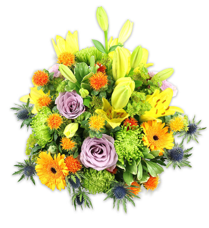 Presented on a pristine white field that makes every hue sing, this densely packed floral design balances exuberant colour with considered structure. Dominant yellow Asiatic lilies lift the eye with their elegant trumpet forms - some fully unfurled and speckled, others poised as elongated buds - while bold orange Gerbera daisies offer graphic, sunburst-like heads that catch the gaze. Interspersed are small, spherical orange and golden-yellow accent blooms that bring a spirited, spiky texture, and soft lavender-purple roses that introduce a romantic, powdery coolness amidst the brighter tones. Bright lime-green cushion chrysanthemums form a plush bed that both cushions and accentuates the other varieties, producing a rich, almost mossy texture. Distinctive blue-grey eryngium thistles emerge around the lower and side edges, their starry bracts and wiry stems carving a contemporary silhouette against the softer petals. Varied green foliage - from broad, structural lily leaves to delicate glossy fillers - gives depth, movement, and a natural garden feel beneath soft studio illumination that highlights petal sheen and shadow. The overall scent is balmy and floral, a gentle blend of lilies and roses that complements the arrangement's festive yet composed mood. Ideal for occasions ranging from jubilant birthdays and warm congratulations to thoughtful sympathy and elegant table centrepieces, this bouquet reflects the hands-on expertise of a Golders Green florist and suits delivery to nearby areas such as Hendon, West Hampstead, or homes around Golders Hill Park.