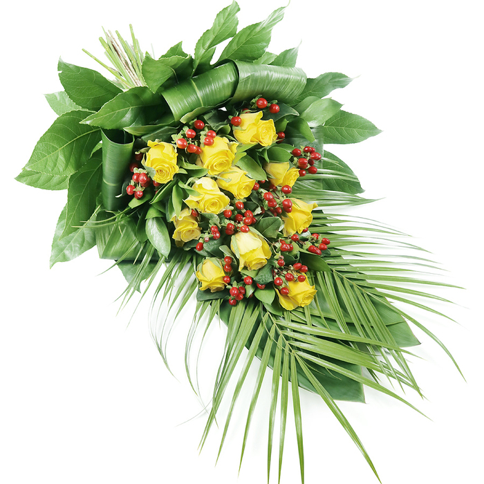 This image shows a refined, elongated floral spray created as a tribute arrangement, photographed against a brilliant white background to emphasize its form and colour. The spray is dominated by radiant yellow roses, roughly fifteen to twenty blooms arranged along a gentle diagonal line. Some roses are just beginning to open, their petals tightly layered, while others reveal full, rounded heads with soft, velvety spirals. Their sunny yellow tones give a sense of warmth and kindness, suggesting memories filled with shared laughter and light. Interspersed delicately throughout are clusters of bright red berries, likely Hypericum, small and spherical with a glossy surface that catches the light, adding rich contrast and a tactile quality alongside the smooth rose petals. The flowers are supported by a base of lush, dark green foliage. At the upper left, near where the stems are bound, large leaves are folded and wrapped into structured shapes, creating a firm, sculpted backdrop that hints at the skill of a local Golders Green florist. As the design tapers toward the lower right, the foliage becomes more airy and elongated. Fine, palm-like fronds stretch outward, their narrow leaflets creating a feathery, cascading line reminiscent of the graceful trees found in Golders Hill Park or along Finchley Road. The interplay of deep greens, bright yellow, and vivid red sits in calm balance, with the clean lighting revealing every contour and vein of the leaves. Overall, the spray conveys serene remembrance and gentle hope, suitable for resting beside a coffin or memorial in the Golders Green area, where families gather to say goodbye with elegance and heartfelt respect.