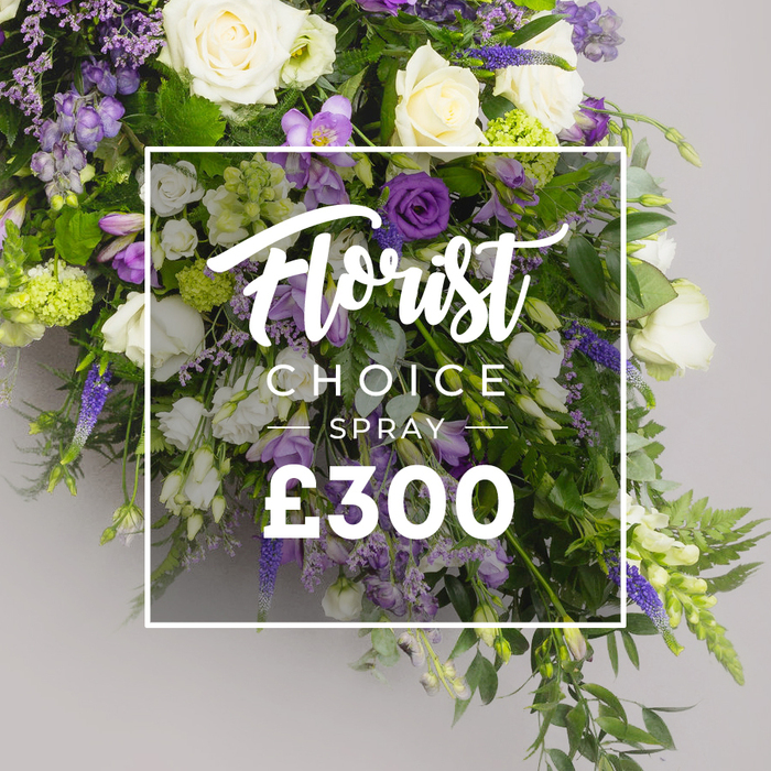 A long, abundant funeral spray with a sophisticated palette of purples, whites, and greens unfurls against a soft, neutral grey. The heart of the design features generous clusters of pristine white roses and white lisianthus, their blooms pure and soft, offset by airy white freesia. Surrounding them, tall spikes of deep purple lisianthus or delphinium rise like quiet sentinels, with lavender-toned eustoma and small lavender lisianthus bringing gentle variation. Lush green foliage-ferns, eucalyptus-like leaves, and ample viburnum-green accents-gives depth and a natural, cascading form designed to lay flat on a casket or serve as a substantial tribute. The arrangement rests before a clean backdrop, allowing the colours to command attention. A white overlay sits slightly off-center, with the top line reading Florist Choice in an elegant script, the lower word SPRAY in crisp uppercase, and below in large bold white text the price '?300'. This image communicates a premium, bespoke floral option from a Golders Green florist, ideal for sympathy tributes, funeral services at local chapels near Temple Fortune or Cricklewood, or a grand remembrance display that travels with same-day delivery across Golders Green. Crafted with seasonal stems and expert layering, it embodies both dignity and the natural beauty of blooms, inviting quiet reflection and conveying heartfelt care from Flowers Golders Green.