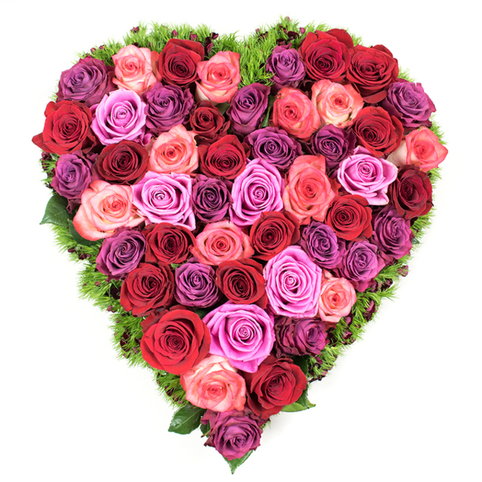Crafted with the meticulous hand of a neighbourhood florist, this heart-shaped rose arrangement is a richly coloured testament to love, memory, and quiet devotion, photographed from above so that every petal and shade is visible. The design layers large, fully opened roses in a deliberate spectrum: concentrated areas of deep crimson and mahogany-burgundy give weight and intensity, while ribbons of classic scarlet and coral blush brighten the composition; pockets of vibrant fuchsia and magenta momentarily lift the eye, and pale lavenders and dusky mauves ease the transition toward the outer border. Each rose displays soft, velvety petals with tight, sculpted centres, arranged so closely there are no gaps-only a continuous, textured surface of bloom. Around the heart, a thin border of dark, verdant foliage-reminiscent of maidenhair fern or finely textured greenery-frames and grounds the shape, its cool tone offering contrast and clarity against the white background. The overall effect is at once opulent and comforting: the arrangement carries the gentle perfume of fresh roses and the tactile invitation of soft petals, suited for occasions that demand sincerity, whether a romantic celebration or a dignified memorial service near Golders Green Cemetery or Golders Hill Park. Flowers Golders Green prepares pieces like this with local knowledge and care, mindful of both aesthetic balance and the quiet emotional needs of families in NW11.
