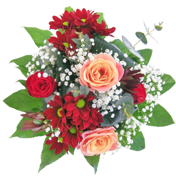This arrangement captivates through considered contrasts: the intense, velvety red of chrysanthemums and rosebuds sets a vivid stage while creamy-peach and apricot roses soothe and provide visual balm. Between them, fine sprays of white gypsophila tuck like little pearls across silk, creating flow and movement that makes the bouquet feel breathable rather than dense. The mix of textures - silken rose petals, the firmer surface of chrysanthemum heads, and the airy, lacy gypsophila - invites the hand to linger but rewards the eye first, especially where a crystal-clear vase elevates the composition and lets the stems create a sculptural rhythm beneath the waterline. Broad green leaves form a supportive embrace around the base, their glossy planes reflecting light and anchoring the arrangement in an earthy, garden-like scent. This piece feels like a loving embrace translated into floristry: balanced, intimate, and thoughtfully scaled to sit as a centrepiece at a celebratory table or to welcome a new arrival into a home near Golders Green station. I imagine it brightening a windowsill by family-run shops on the high street or being placed at a small reception after a neighbourhood gathering at Golders Hill Park, its colours and perfume quietly speaking of affection and new beginnings. The craftsmanship is deliberate - each bloom chosen for tone and placement - yielding a bouquet that reads equally as style and sentiment.