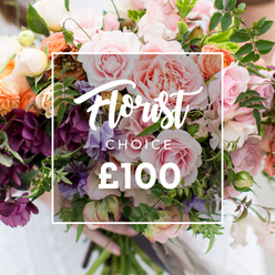 This close-up shows a richly textured, florist-selected bouquet that reads as both romantic and effortlessly garden-fresh. Dominating the arrangement are full, soft pink garden roses whose layered petals feel plush and velvety to the touch; their gentle blush is balanced by deep plum-toned hellebore-like flowers that anchor the composition with dramatic colour. Threaded between these larger blooms are striped light purple-and-white sweet peas, their delicate, frilled petals introducing a lyrical movement and a faint, sweet scent. Clusters of peach and coral ranunculus-like blooms contribute sculptural rounds and a warm glow, while tiny creamy-white flowers act as bright punctuation, bringing air and clarity to the colour story. A generous assortment of greenery-long, trailing stems, fine sprigs and broader leaves-creates the loose, garden-style silhouette and softens the bouquet's edges. Superimposed over the flowers is a neat white rectangle holding an elegant "Florist Choice" script, a smaller block "CHOICE" and a clear "?100" beneath, signalling this is a curated, premium option and its price point. A pair of hands gently holds the stems at the bottom against a softly blurred, pale sleeve, suggesting careful handling and a human connection. The lighting is flattering and natural, catching the sheen on petals and the depth of plum tones. This arrangement feels made-to-order, ideal for special moments-birthdays, engagements or simply to say "you are thought of"-and reflects the seasonal, considered approach you'd expect from florists serving Golders Green and nearby streets like Golders Green Road and the lanes around the station.
