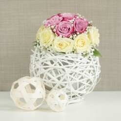 An elegant rose centerpiece is captured in gentle, even light, as though placed on a wedding table in a quiet corner off Golders Green Road. At the top is a rounded cluster of roses in two beautifully balanced shades: soft, romantic pink with a hint of lavender, and buttery cream that fades toward ivory. The blooms are arranged tightly together, creating a neat dome where each rose sits snugly against its neighbours, some buds still cupped, others opening into layered spirals of petals. Among them, fine stems of white baby's breath weave in and out, their tiny star-like flowers softening the transitions between colours and adding a touch of ethereal brightness. The arrangement is cradled in a distinctive white spherical vase made from thin, painted twigs or wicker strands, twisted and interlaced into an open-weave globe. Through the gaps, you can sense the inner structure supporting the flowers, giving the design a handcrafted, almost sculptural feel. This globe-shaped vase rests on a smooth white surface that looks like a modern dining or display table, its simplicity allowing the textures of the flowers and wicker to take center stage. To the left, two decorative balls made from natural, light-toned rattan or wood echo the woven look, one noticeably larger than the other, gently leading the eye across the composition. The background is a neutral, linen-like beige wall that brings warmth without distraction, evoking a calm living space or boutique venue in Golders Green. The overall impression is of understated luxury and quiet romance, ideal for illustrating sophisticated table arrangements or same-day wedding flower delivery in the NW11 area.