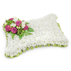 This rectangular floral pillow is a quiet, tactile expression of remembrance, its entire surface densely composed of small, immaculate white chrysanthemums that create a soft, cushion-like texture. The flowers form a uniform, tranquil plane interrupted only by a single, artful spray positioned on the upper-left corner: several richly hued magenta and deep fuchsia roses whose layered petals open like gentle, dignified bouquets. Nestled among those roses are clusters of delicate white freesias or similar petite blooms, adding a bright, fragrant contrast that lifts the composition with subtle scent and light. Beneath and around the accent cluster, slender fern fronds and glossy green leaves provide a lush, supportive backdrop and natural movement, their cool tones balancing the warmth of the roses. A pleated border of pale green satin ribbon trims the edge of the pillow, visible in places where the white chrysanthemums give way to the ribbon's soft sheen, lending a refined finish and a hint of garden-fresh colour. The arrangement sits on a clean white surface that throws a soft shadow beneath, highlighting its dimensional form and gentle contours. Designed as a sympathy tribute for a funeral or graveside service, this pillow speaks of peaceful rest and tender memory - a piece you might see at a chapel near Golders Green Road or brought by loved ones meeting at Golders Hill Park for a quiet farewell.
