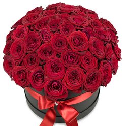 Bursting with passion, this luxurious dome of red roses captures the senses, their velvety petals densely layered and each bloom set with care by skilled local florists in Golders Green. The sea of deep crimson forms a seamless, rounded canopy that overflows the elegant black hat box beneath, every flower appearing freshly picked-some blushing with youthful promise, others open and inviting. Their rich, intoxicating hue and plush texture catch the gentle light, conjuring feelings of intimacy and awe, a bouquet reminiscent of strolls through the gardens of Golders Hill or elegant celebrations along Finchley Road. Wrapped around the base, a wide satin ribbon in shimmering red is tied into a perfect bow, adorned at its centre with a sparkling silver embellishment that hints at a sense of occasion. The composition rests against a pure white backdrop, emphasizing the intricate craftsmanship and the dramatic interplay between dark and vibrant tones. This arrangement is more than a display-it's an experience, suggesting whispered dedications and cherished celebrations. Whether presented on a wedding day, an anniversary, or simply as a grand romantic gesture for someone dear in Golders Green, the bouquet embodies floral excellence and heartfelt emotion, suitable for delivery to homes, local cafes, or beloved family gatherings throughout NW11.