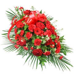 A luxurious red funeral spray is shown against a pure white backdrop, its single-sided form arranged in a long, sweeping line that suggests a gentle farewell. The centre is densely filled with velvety red roses, some tightly furled and others fully unfurled, their deep crimson petals creating a rich, romantic heart to the design. Around them, layers of red carnations introduce soft, frilled texture, while bold red gerbera daisies with dark eyes punctuate the arrangement with wide, open blooms that feel like quiet bursts of memory. Threaded between the red flowers are tiny, cloud-like clusters of white filler, perhaps baby's breath or small spray chrysanthemums, which lift the palette and add a light shimmer against the more intense hues. A wide red satin ribbon bow sits proudly near the top, its glossy loops and long tails trailing through the flowers, suggesting a heartfelt inscription or family tribute. Encircling the blooms, sweeping dark green palm leaves stretch outwards to form the spray's elongated outline, while dense, darker green foliage such as salal or ruscus fills the interior, giving the design its full, opulent body. Here and there, fine fern-like fronds soften the edges and add subtle movement. This thoughtfully balanced composition, reminiscent of tributes delivered to Golders Green Crematorium or to quiet homes off Finchley Road, feels warm and dignified rather than sombre. It is the sort of red rose and carnation casket spray a family might choose when they wish to send a final message of enduring love, courage, and honour through flowers.