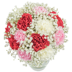 At the heart of this exquisite bouquet lies a masterful interplay of colour and texture, designed with the discerning touch of a Golders Green florist steeped in tradition. Firmly gathered in a clear, round vase, the arrangement illuminates any setting with saturated red, pastel pink, and softly gleaming white carnations, their petals delicately ruffled and almost velvety to the eye. Sprigs of snowy baby's breath weave among the larger blooms, offering a playful lightness that recalls the gentle morning mist rising over Golders Green's leafy garden squares. Each carnation's lush fullness is heightened by the crisp, even lighting that brings out their intricate layers, while the glass vessel subtly reveals the tidy, fresh stems and sparkling water-a quiet nod to the care taken in every detail. The composition, nearly spherical in silhouette and thoughtfully balanced, stands as both a visual and emotional centerpiece; it speaks of celebration and heartfelt connection, perfect for gifting during intimate family get-togethers or community events by Golders Green station. The bouquet's classic harmony coupled with its gentle, welcoming aura makes it an ideal gesture for sending gratitude, marking milestones, or simply brightening a cherished home beside Hampstead Way. With every element, the bouquet radiates the warmth and hospitality that define Golders Green.
