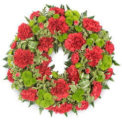 Set against a clean white backdrop, this circular sympathy wreath forms a complete ring of deep red and bright lime green, crafted with the care you would expect from a neighbourhood florist near Golders Green station. The surface of the wreath is almost entirely carpeted with red carnations, each bloom full and ruffled, their silky petals overlapping in gentle waves. Some flowers are fully open and generous, while others are slightly smaller, giving the design a natural, breathing rhythm. Nestled between them, lime green button chrysanthemums pop like small, crisp baubles, their domed heads formed from countless tiny petals that create a smooth, almost velvety texture. Together, the red and green echo a sense of classic elegance with a fresh, modern lift, ideal for a funeral at a local chapel or a memorial gathering near Golders Hill Park. Around the blooms, rich greenery spreads outward: deep green ferns add a feathery halo, and variegated pittosporum with pale, creamy margins brings a light, dappled effect, as though sunlight were catching the leaves. Threaded through the lower section, a soft green striped ribbon curls in gentle loops, mirroring the roundness of the wreath and lending a refined finishing touch. The lighting is even and bright, ensuring every detail of the carnations, mums, and foliage stands out clearly against the background. The overall impression is one of respectful beauty and steady calm, a floral tribute that quietly honours a life while offering solace to those gathered in and around Golders Green to remember someone dear.