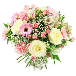 Against a clean, bright white background, this round, hand-tied bouquet from a Golders Green florist appears almost to glow, every flower clearly defined and beautifully balanced. At its centre, several large cream-coloured roses are in perfect full bloom, their spiralling petals forming soft, symmetrical cups that anchor the entire design with classic elegance. Nestled close to them are clusters of pink spray roses, some still in bud and others just beginning to unfurl, giving the arrangement a youthful, hopeful character that feels right at home in the tree-lined streets around Golders Green station. A few bold pink gerbera daisies stand out with their smooth, flat petals and dark central discs, adding a joyful splash of colour and a contemporary edge. Pale pink carnations, their petals finely ruffled, weave through the bouquet to create a cushion of texture and volume, evoking the comfort of traditional garden flowers much loved in North West London homes. White alstroemeria, with creamy petals lightly streaked and freckled in soft russet tones, introduce a graceful, almost delicate rhythm between the larger blooms. Throughout the composition, cloud-like sprays of white gypsophila soften every angle, giving the bouquet an airy, romantic lightness. Fresh green leaves peek between blossoms, bringing depth and contrast and hinting at the bouquet's just-cut freshness. The stems are visible at the bottom, neatly gathered and tied, ready to be placed in a favourite vase on a windowsill overlooking Golders Hill Park. This arrangement conveys gentle celebration and sincere affection, ideal for welcoming a new baby, congratulating a milestone, or simply brightening someone's day with same-day delivery across Golders Green and nearby Hampstead.