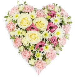 A lovingly crafted heart-shaped funeral tribute fills the frame, set against a clean white background so that every bloom and texture can be clearly appreciated. The heart is densely packed, giving a feeling of fullness and embrace, with a palette of soft pinks, creamy yellows, gentle whites, and deeper magenta accents. At its core, several large cream-to-buttery-yellow roses open in graceful spirals, their layered petals evoking warmth, reassurance, and steady affection. These roses are nestled into a bed of pale pink carnations, whose ruffled petals overlap one another to form a plush, velvety surface, clearly tracing the heart's outline. Scattered throughout the design are white spider chrysanthemums, instantly recognisable by their fine, needle-like petals and bright green centres, adding a crisp contrast and intricate detail. Deeper magenta-pink lisianthus blooms, their bell-shaped flowers slightly ruffled at the edges, provide rich notes of colour and emotion, like heartfelt words spoken at a quiet service near Golders Green Crematorium. Here and there, fresh green foliage peeks between the blossoms, softening transitions and suggesting the calm of nearby Hampstead Heath on a still morning. At the pointed base of the heart, the faint glimpse of a pale pink ribbon hints that this arrangement is prepared for a funeral, memorial, or graveside tribute. The overall effect is of a carefully composed, compassionate piece that communicates love, sympathy, and remembrance, thoughtfully designed for families in and around Golders Green who wish to honour someone dear with flowers that speak gently when words feel too small.