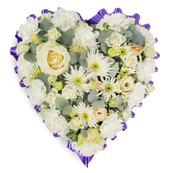 A generously proportioned heart-shaped funeral tribute filled with white and cream blooms rests against a clean white backdrop, its calm beauty unfolding slowly on closer inspection. In the very centre, a single creamy white rose is poised like a quiet message of love, every petal curling outward with a soft luminosity. Surrounding it, layers of white carnations build a plush, cloud-like base, their frilled petals overlapping to create a sense of comfort and gentle protection. White chrysanthemums, including some with long, slender, spiky petals and others more button-like, are scattered throughout, each flower displaying tiny pale green centres that add a delicate freshness to the otherwise monochrome palette. Interspersed between these larger blooms are smaller cream roses and rosebuds, touches of lisianthus, and tiny filler flowers in ivory and very soft butter yellow, giving the piece subtle depth and movement. Blue-green eucalyptus leaves thread through the design, their muted, silvery foliage bringing a cool, herbal calm reminiscent of a quiet walk through nearby Golders Hill Park on an overcast morning. Embracing the entire shape is a deeply ruffled band of rich purple ribbon, tracing every curve of the heart and forming a dignified, almost ceremonial frame. The contrast between the solemn ribbon and the pristine flowers creates an atmosphere of peaceful respect, ideal for honouring a loved one at a memorial service or chapel of rest in Golders Green or along Finchley Road. The arrangement feels carefully considered and expertly composed, like the work of a long-established local florist who understands how to translate grief and gratitude into flowers.