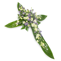 Viewed from a soft overhead vantage against a plain white backdrop, this graceful cross reads like a gentle benediction in leaves and blooms. Large, glossy tropical leaves - their veins catching a faint glint of light - form the solid, green scaffold of the cross, the arms and centre defined with calm precision. Resting upon that verdant foundation are clusters of pale, comforting flowers: creamy, ruffled lisianthus whose layered petals open slowly like a quiet breath; collections of small pure-white chrysanthemums or miniature roses that bring points of bright clarity; and delicate sprays of powdery lavender aster or limonium that scatter like soft stars across the composition. Finer sprigs of green filler weave through the bouquets, adding a subtle contrast in texture between the waxy leaves and the feathery blooms. The arrangement smells faintly green and fresh, an unobtrusive fragrance that speaks of early-morning gardens rather than floral intensity. Light is even and forgiving, bathing the pale tones so they read as soothing and devotional. This piece is intended as a sympathy or memorial tribute - a visual expression of remembrance and consolation that would be appropriate for a service at Golders Green Crematorium, a chapel on Hoop Lane, or a quiet graveside at a local cemetery. As an experienced local florist serving Golders Green, we compose these crosses to carry dignity and solace, mindful of the practical needs of funeral directors and family members arranging commemorations nearby.