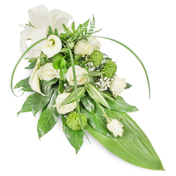 An elegant, elongated floral spray composed in tranquil white and verdant green tones, shown on a plain white background under soft studio lighting that reveals texture and depth. Creamy roses, arranged in small clusters and at varying stages of bloom, form the visual and emotional centre-each petal unfolding with a softness that suggests calm and memory. Two pristine white calla lilies on the upper left provide sculptural contrast, their smooth, trumpet-shaped curves offering a modern, graceful gesture. Scattered among the roses are chartreuse-green button chrysanthemums, their compact, spherical texture creating playful yet respectful punctuation against the pale blooms. Fine clouds of baby's breath (Gypsophila) are woven throughout, lending an ethereal lightness and a whisper of sweet fragrance. The green palette is layered: glossy deep leaves create a solid foundation; variegated foliage with white streaks brightens the composition; feathery fern tips crown the top with woodland lightness. Long, bright green blades arc over the sides and down toward a prominent, broad tropical leaf that forms the tapered tail, reinforcing the classic cascade silhouette. A soft cream fabric bow at the upper left finishes the piece with understated formality. This is the kind of sympathetic tribute we prepare at Flowers Golders Green for services across the area-from chapel rooms near Hoop Lane to family gatherings by Golders Hill Park-designed to express respect, remembrance, and quiet comfort through refined floral craftsmanship.