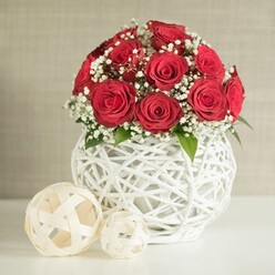 A lush dome of deep red roses, reminiscent of an intimate wedding table in a Golders Green townhouse, fills the centre of this image with warmth and quiet drama. Each rose is fully open yet still crisp at the edges, its velvety petals spiralling inward in tight, graceful layers that suggest both passion and impeccable freshness. Between the roses, delicate tufts of white baby's breath float like tiny clouds, breaking up the intensity of the red and lending the bouquet a soft, romantic haze. Occasional glimpses of small green leaves add a natural rhythm and stop the design from feeling too formal, as though the flowers have just been gathered from a well-tended garden near Hampstead Heath. The bouquet is cradled in a distinctive round white vase, formed from slim, intertwined strands that create an open, airy lattice. This woven structure feels both contemporary and handcrafted, the kind of detail a local florist might choose for a wedding breakfast table at a Golders Green restaurant or a stylish engagement party at home. The vase rests on a smooth, pale surface, free of clutter, allowing the composition to breathe. To the left, two woven decorative balls in soft cream tones echo the vase's texture; one is larger and more prominent, the other smaller and slightly set back, subtly guiding the eye across the scene. Behind everything, a softly textured, light beige wall melts into the background, framing the roses with tranquillity. Overall, the arrangement conveys quiet opulence and tender celebration, perfectly suited to a wedding table, anniversary dinner, or Valentine's surprise delivered locally.