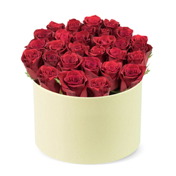 From a local workshop, this hand-crafted arrangement presents a lush garden of crimson among a pale cream cylindrical hat-box. More than two dozen red roses, their velvety petals tightly furled, stand shoulder to shoulder in flawless symmetry, forming a soft dome that visibly crests the rim of the box. The color is a deep, wine-like crimson that seems to glow in the soft studio light, with hints of emerald foliage weaving between the blooms to create a natural lattice of green. The box itself is elegant and tactile-a smooth matte finish in pale cream that feels almost timeless, a modern nod to the classic hat-box designed for luxury deliveries. The composition is captured from a slightly elevated three-quarter angle, crisp and centered on a clean white background, so the flowers and the packaging speak for themselves. The scene invites you to imagine the rose-scented air and the gentle weight of a carefully chosen gift, perfect for a heartfelt celebration, a commemorative occasion, or simply to express deep affection. In Golders Green, this bouquet would travel with ease to addresses along Golders Green Road, Hoop Lane, or Hampstead Garden Suburb, and it pairs beautifully with a premium card or a discreet florist delivery note. The artistry is in the restraint-the precise placement of each stem, the even dome, the quiet luxury of the matte case-testifying to many years of local cultivation and care. A refined gesture for romance, for anniversaries, or for that special moment when you want to say everything without words. Delivery is available across Golders Green and the surrounding neighborhoods, with same-day arrival options.