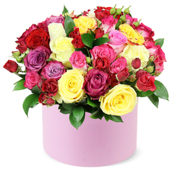 Radiant hatbox bouquet of roses becomes a messenger of joy and affection. The design places a chorus of blooms in a pastel pink cylinder, the box offering a quiet, refined stage. The composition balances bold sunlit yellows with stately crimsons, magentas, purples, and creams to create a lively tapestry of celebration. Each bloom carries character: large, fully opened roses reveal velvet petals in romantic spirals, while spray roses nestle nearby, and tiny buds hint at more to come. The textures invite touch: the soft petals, the subtle edges, and the satin-like sheen of the dark green leaves interlacing the arrangement. The box's smooth matte finish softens the colour story and gives a contemporary edge, ideal for modern interiors and thoughtful gifts. Against a clean backdrop, the bouquet exudes warmth and invitation, poised to lift a room's mood the moment it arrives. In Golders Green, doorstep deliveries sweep through quiet streets from Temple Fortune to Golders Green Road, and this bouquet is a perfect choice for birthdays, anniversaries, or a simple gesture that says you care. The gentle fragrance of fresh roses would mingle with the air, adding a sensory layer to the gift. While modern in feel, the arrangement remains romantic at heart, with generous blooms in crimson, yellow, pink, magenta, lavender, and white; a true celebration of colour and craft that speaks of care and joy.