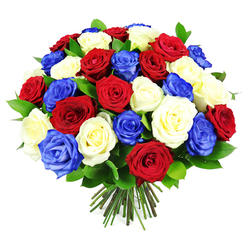 A striking hand-tied bouquet of roses dominates the image, shaped into a nearly perfect sphere of colour that seems to hover against a bright white background. The composition is simple yet dramatic: densely packed crimson red, soft white, and intense royal blue roses clustered so closely that only hints of deep green foliage peek through. Each rose is captured in exquisite detail, from the tightly furled buds to the more open blooms where layers of velvety petals curl outward, suggesting both softness and strength. The blue roses, rare and almost electric in tone, sit among the whites and reds like small jewels, transforming a classic rose bouquet into something with a modern, patriotic edge. At the bottom of the bouquet, a tidy handful of trimmed stems is visible, bound together in the traditional hand-tied style used by experienced florists across Golders Green and nearby Hampstead Garden Suburb. The stems form a natural handle, suggesting the bouquet has just been finished and is ready to be carried to a celebration, remembrance service, or special dinner at home. The white backdrop throws every hue into sharp relief, allowing you to imagine the velvety touch of the petals and the familiar, comforting scent of fresh roses. This is an arrangement that feels both ceremonial and intimate, equally suited to marking national days of pride as it is to sending a heartfelt message of admiration or solidarity within the local NW11 community.
