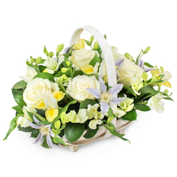 In this detailed image, a sophisticated funeral flower basket is centred against a pure white backdrop, so that every shade of cream, green, and lavender can be appreciated. The basket itself is a light, natural wicker, painted in a soft beige or off-white tone, with an elegant handle rising in a smooth curve over the arrangement, almost like a protective arch. Inside, lush, fully opened creamy white roses serve as the principal focus, their layered petals forming generous rosettes that suggest tenderness and respect. Nestled between them are rare-looking clematis flowers in muted lilac and pale periwinkle blue, each bloom star-shaped with a bright yellow-green centre, adding a subtle hint of colour that never disturbs the peaceful mood. Smaller blossoms, reminiscent of white and pale lemon freesia, are tucked throughout the basket, some still closed in slender buds, others partially unfurled, giving the sense of time gently passing and new life emerging. Additional white ruffled flowers, akin to lisianthus, fill any gaps, making the display look naturally abundant rather than crowded. Rich, dark green foliage with both broad and narrow leaves surrounds and supports the blooms, framing them much like the mature trees that line the streets around Golders Green and nearby Hampstead Garden Suburb. The overall design feels calm, comforting, and composed, ideal for resting beside a coffin in a chapel of rest, placing at a crematorium, or delivering to a family home in NW11. It is the kind of tasteful tribute a local florist near Golders Green would create when the intention is to honour a life quietly, with grace and heartfelt sincerity.