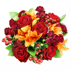 Captured in a top-down view on a clean white field, this densely packed bouquet is an exercise in warm contrast and tactile richness-exactly the kind of arrangement we prepare at Flowers Golders Green for neighbours around Golders Green Tube and Finchley Road. At the heart sit several broad, fully opened deep red roses, their velvet-like petals layered into a classic, romantic silhouette that draws the eye inward. Radiating between them are bright orange Asiatic lilies; some trumpet wide with visible stamens and subtle dark speckling, others curl gracefully in the gentle coil of a bud, lending the bouquet a sense of time and unfolding. Nestled throughout are deep burgundy spray roses-tiny, sumptuous clusters whose concentrated colour gives depth and shadow between the larger blooms. Scattered glossy Hypericum berries add pops of ruby, catching light like small, festive ornaments and creating delightful contrasts against the soft floral textures. Rich green foliage-broad salal or ruscus leaves-threads through the arrangement, its cool sheen offsetting the warmth of the petals and adding volume without distraction. The even, soft lighting in the photo emphasizes surface and texture: the satin of rose petals, the satiny lily throat, the smooth berry skins, and the crisp leaf edges. There is an implied scentscape-rose's mature sweetness with lily's spicy, citrus lift-that makes the design feel celebratory yet intimate. Ideal for anniversaries, heartfelt apologies, or seasonal gifts, this composition is available for local delivery across Golders Green and nearby Hampstead Garden Suburb, arriving fresh and ready to brighten a mantel or dining table.
