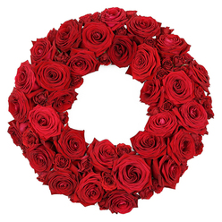 Imagine stepping into a Golders Green studio and discovering a wreath so lush with rich red roses that it seems to radiate warmth. Each bloom has been selected at the peak of beauty, petals soft and supple, layers unfurling with an air of opulence. The circular form feels both symbolic and soothing-an unbroken embrace of velvety florals where every rose brushes its neighbour, creating a tapestry of crimson that draws the eye around the ring. This arrangement is not merely ornament; it embodies both love and solemnity, with every bloom carrying the weight of a memory or a deeply felt wish. As a local florist, I sense the quiet power in these flowers, their heady fragrance mingling with the pale green of hidden stems. It is a wreath that channels elegance and reverence, a natural expression of farewell and celebration, made to be noticed and remembered. 

From our Golders Green workshop, the piece is finished with careful balance and texture. It rests against a white backdrop to let the crimson sing, and it reads as a timeless tribute for weddings, anniversaries, memorials, or significant milestones. It would grace a doorway, a mantle, or a ceremonial table with dignified presence. We offer dependable delivery across Golders Green, Hendon, and Finchley, with same-day options to suit late plans or spontaneous gestures. With these roses, you are choosing enduring beauty, local expertise, and a piece that speaks to the heart of our community.