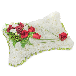 Soft and solemn, this rectangular floral pillow is built from hundreds of small white chrysanthemum heads, each layer packed closely to form a plush, cloud-like surface that invites a calming breath. The arrangement reads as both traditional and tender: on the top left a cluster of deep crimson roses and rich burgundy carnations gathers like a held memory, their velvety petals catching a gentle side-light that highlights each curve. Delicate white freesias and tiny spray chrysanthemums punctuate the red cluster, giving moments of light across the composition while the green foliage - feathery ferns and broader leaves - provides depth and a natural frame. Sweeping, slender arcs of bright green bear-grass stretch from the main spray toward the lower right, creating an elegant diagonal that draws attention to a solitary red rose placed as a quiet focal point. The pillow's edge is subtly outlined by a light green satin ribbon, visible between petals and leaves, which lends a tidy, respectful border to the memorial piece. Imagined in a chapel or on a funeral chapel table near Golders Green Crematorium or laid by a photo at a wake, the piece smells faintly of fresh green stems and sweet white blooms; its textures and tones are chosen to convey comfort, dignity, and an enduring expression of love without ostentation.