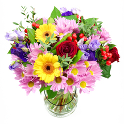 A tall, exuberant bouquet rises confidently from a clear glass vase, set against a crisp white backdrop that lets every bloom take centre stage. Dominating the core of the arrangement are plush, deep red roses, their layered, velvety petals curling inward in a timeless spiral that feels both romantic and reassuring, reminiscent of relaxed evenings along Golders Green Road. Just beside them, two golden yellow gerbera daisies open wide, their sunflower-bright faces highlighted by dark brown-orange centres that give the display a lively, contemporary edge. Clusters of soft pink daisy-like chrysanthemums encircle these focal blooms, each flower composed of slender petals radiating from small yellow hearts, creating a gentle cloud of colour that softens the overall design. Interwoven elegantly are purple and lavender lisianthus, their bell-shaped flowers and slightly ruffled tips adding depth, coolness, and a touch of understated luxury, as if echoing the calm atmosphere of nearby Hampstead Heath Extension on a sunny day. Scattered throughout, small bunches of round, glossy red hypericum berries stand out like tiny jewels, providing rhythmic bursts of texture and brightness. Various greens, from rich, dark leaves to delicate pale-green tendrils, weave between the flowers, giving structure and a freshly picked garden feel. Through the vase's transparent sides, the stems are visible, neatly cut and arranged in clear water, reflecting the care of an experienced local florist. This bouquet exudes joy and optimism, perfect as a vibrant congratulations arrangement for a new home in Golders Green, a centrepiece for a Shabbat table, or a thoughtful surprise delivered same day to lift someone's spirits.