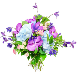 Captured against a bright white backdrop, this luxurious bouquet feels like a breath of cool, fragrant air drifting through a quiet street near Golders Green station. At its centre, generous heads of pale sky-blue hydrangea create a plush, cloud-soft base, each bloom made up of countless tiny petals that blend into a soothing wash of colour. Woven through these rounded forms are vivid fuchsia and deep purple orchids, their velvety petals patterned with delicate speckles and veins, adding an unmistakably exotic character reminiscent of a conservatory stroll in Golders Hill Park. Slender stems of deep purple clematis extend and cascade from the arrangement, some blooms standing tall, others gently trailing, lending the bouquet movement and a sense of natural freedom rather than stiff formality. Tucked between the bolder flowers are miniature roses in blush pink and creamy white, their compact rosettes bringing in softness, romance, and the suggestion of a light, sweet scent. Fresh greenery in varying shades and textures fills out the composition, from smooth, broad leaves that shine faintly in the soft studio lighting to finer foliage that threads delicately through the blooms. The stems are drawn together in a tidy bundle at the base, clearly hand-tied by an experienced local florist accustomed to creating showpiece bouquets for homes and celebrations across Golders Green and nearby Temple Fortune. The combination of cool blues, rich purples, gentle pinks, and vibrant greens gives the design a refined, contemporary feel, perfect for an elegant thank-you gift, a sophisticated birthday surprise, or a centrepiece to brighten a living room looking out towards Hampstead Garden Suburb.