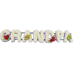 Set against a clean white backdrop, a carefully crafted floral tribute spells out GRANDPA in broad, upright capital letters, the style reminiscent of a name lovingly written across a memorial. Every letter is completely covered in small white chrysanthemums, pressed closely together so the surface appears plush and velvety, like soft snow resting in stillness. A slim trim of pale lavender-purple ribbon outlines each edge, adding gentle contrast and guiding the eye smoothly along the word. Within the open curve of the G, a compact grouping of deep red roses nestles into the white, their petals rich and full, framed by neat green foliage that hints at a garden in full bloom. The first A is distinguished by bright yellow-green orchids, their refined, sculpted shapes bringing a graceful, almost ceremonial air. Midway through, the strong curve of the D echoes the G with another cluster of red roses, balancing the design, while the last A reprises the orchids, tying the composition together with quiet sophistication. Slender support bars behind the blooms hold each letter in perfect alignment, forming a single horizontal piece ready to rest beside a coffin or at the front of a chapel. This tribute feels particularly fitting for services in and around Golders Green, where many families gather at the crematorium or along Finchley Road to honour a grandfather's life. The white flowers speak of peace and remembrance, the red roses carry the weight of deep devotion, and the orchids suggest lasting respect, making this a tender farewell crafted with care by local florists.