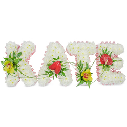 The image shows a thoughtfully designed funeral flower tribute that spells out "KATE" in bold, upright capital letters, laid against a simple white background so nothing distracts from the flowers themselves. Each letter is densely covered with pristine white chrysanthemums, their small, rounded petals forming a velvety surface that feels both pure and comforting. Around the outer edge of every letter, a neatly pleated light pink ribbon provides a soft contour, the pastel hue bringing a sense of warmth and quiet affection. Within this snowy backdrop, the florist has added vibrant focal blooms: lime-tinted cymbidium orchids with rich, reddish markings brighten the left arm of the K and the base of the T, while glossy, heart-shaped red anthuriums sit near the centre of the A and the curve of the E, symbolising love that endures beyond loss. These statement flowers are cradled by layers of dark and mid-green foliage, from broad leaves to airy fern fronds, giving the tribute movement and dimension. Slender green vines meander gracefully from letter to letter, visually joining K, A, T, and E like a gentle thread of memory running through the name. Designed as a bespoke sympathy arrangement, the tribute feels as though it could be placed lovingly at a Golders Green church, a quiet cemetery near the high street, or in a family home during a wake, providing a tender and very personal expression of remembrance from local mourners.