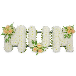 The image shows a refined funeral flower tribute spelling out "MUM" in bold, upright block letters, presented on a clean, bright white background that draws attention to every tiny detail. Each letter is densely filled with pure white spray chrysanthemums, their countless small petals overlapping to form a thick, cushion-like texture that suggests softness, comfort, and quiet dignity. The chrysanthemums are arranged so precisely that there are no visible gaps, only a gently undulating surface of white, edged by a neat dark green backing frame that subtly defines the outlines of each character. Resting delicately on this snowy base are three coordinated clusters of roses in gentle peach and blush tones, with a few creamier highlights. The roses vary from tight buds to open, spiralled blooms, giving a sense of natural movement across the tribute. One cluster decorates the top left of the first "M", another sits low at the centre of the "U", and the last cluster adorns the top right of the final "M", providing a balanced, almost symmetrical flow from left to right. These focal points are cushioned by fresh green foliage, including light, airy fern fronds and sturdier dark leaves that echo the greens found in the tree-lined streets around Golders Green and Temple Fortune. The arrangement feels calm and heartfelt, clearly created as a bespoke expression of love for a mother who has passed away. It is the kind of sympathetic floral lettering that might be delivered to Golders Green Crematorium or a nearby synagogue, offering a tender, personal message of love, respect, and remembrance on the day of the funeral.