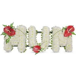 A heartfelt floral memorial spelling 'MUM' in bold, freestanding letters, lovingly formed from tightly clustered white spray chrysanthemums so dense they read as a continuous, velvety surface. Each tiny chrysanthemum has been chosen for fullness and a pure white tone that creates a serene, almost cloud-like texture; the blooms are arranged to leave only a slim hint of the dark green framework showing at the edges, which gives the letters structural integrity and a respectful, sculpted silhouette. Three glossy red anthuriums-each with its pale yellow spadix-are placed as focal points: one on the upper left curve of the first 'M', another settled into the base of the 'U', and the third on the upper right of the final 'M'. These anthuriums are set among delicate fern fronds and broader green leaves, and thin, arching blades of grass draw the eye between the red blooms, providing movement and a unifying line across the white face.

Arranged with the quiet care of a Golders Green florist, this piece resonates with local poignancy-suitable for services at Golders Hill Park chapels or respectful deliveries to Golders Green Crematorium. Flowers Golders Green prepares it with attention to texture, balance, and the soft daylight tones that give the composition a feeling of calm dignity. It reads as a gentle, tactile tribute: simple, tender, and deeply personal-a traditional expression of remembrance for a much-loved mother.